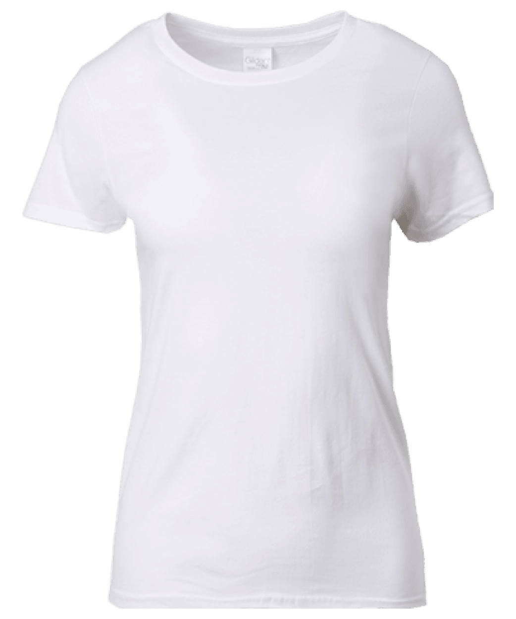 Gildan 76000l Ladies Premium Cotton T Shirt 180gm Gildan My